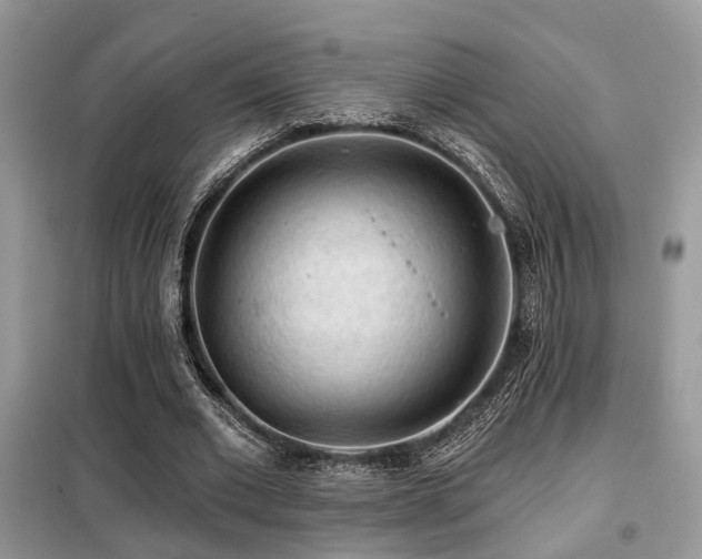 X0000099450677200805091506