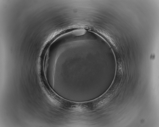 X0000099450678200805091506