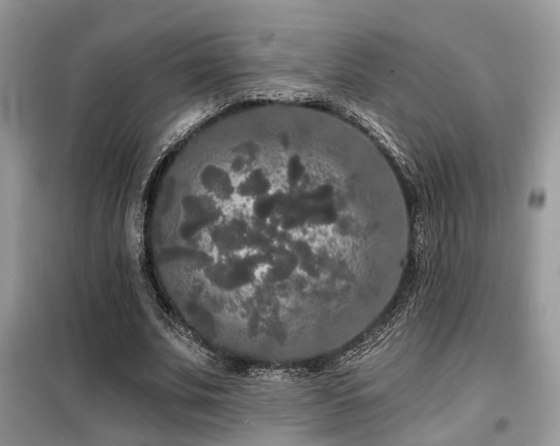 X0000099450679200805091506