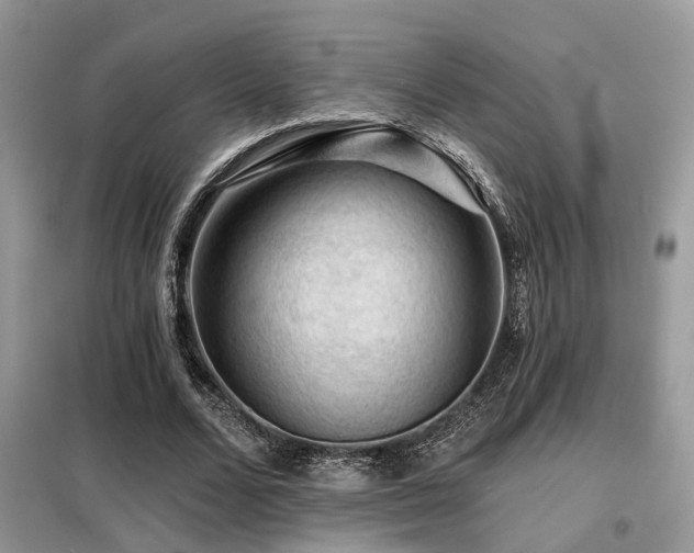 X0000099450680200805091506