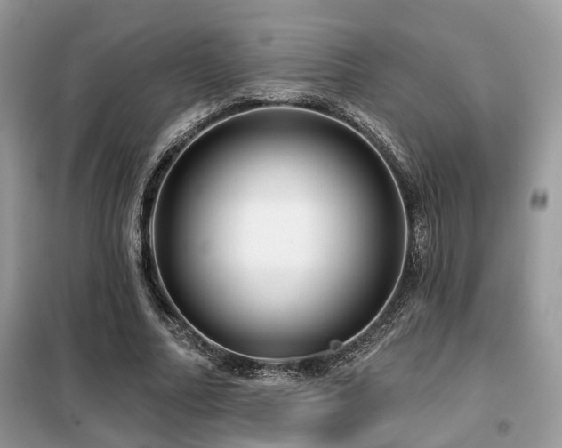 X0000099450682200805091506