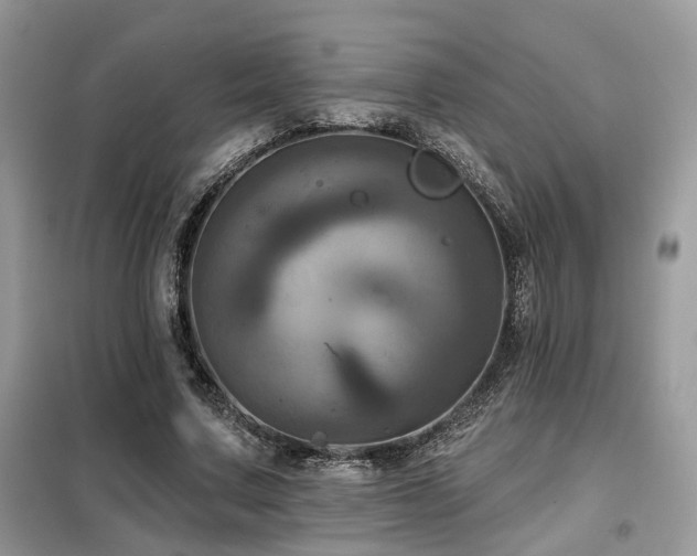 X0000099450683200805091506