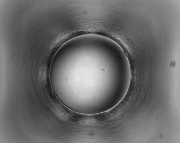 X0000099450685200805091506