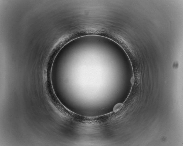 X0000099450686200805091506