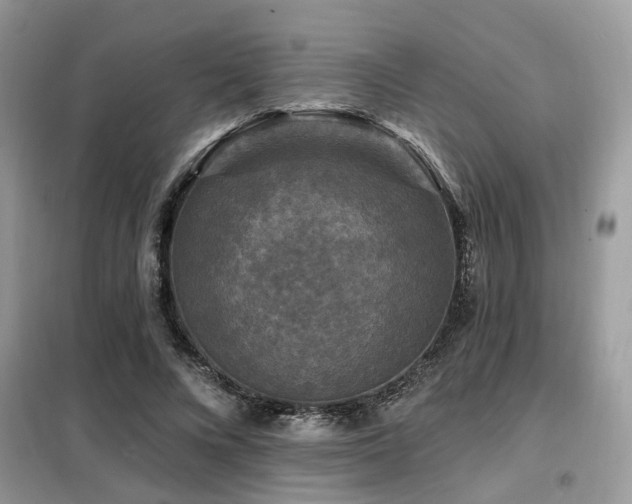 X0000099450688200805091506