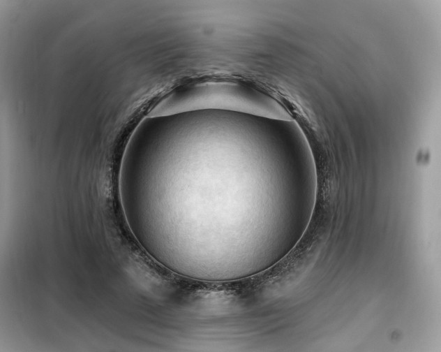 X0000099450689200805091506