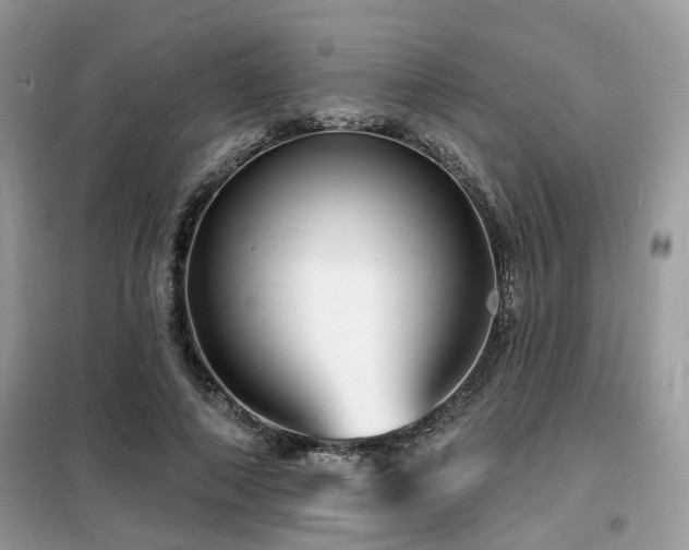 X0000099450690200805091506