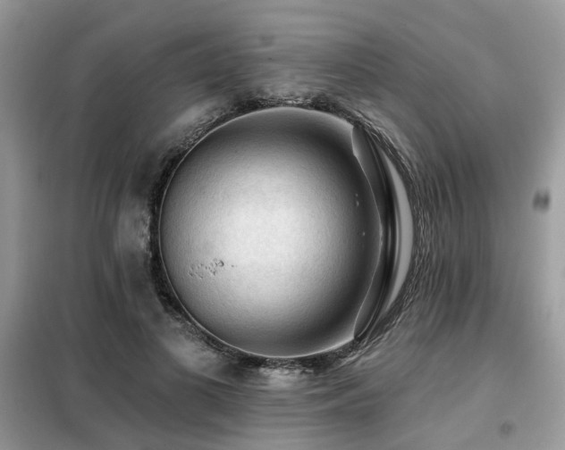 X0000099450693200805091506