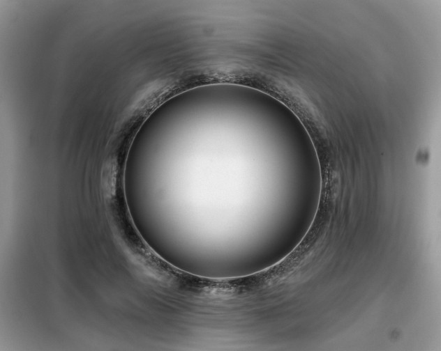X0000099450694200805091506