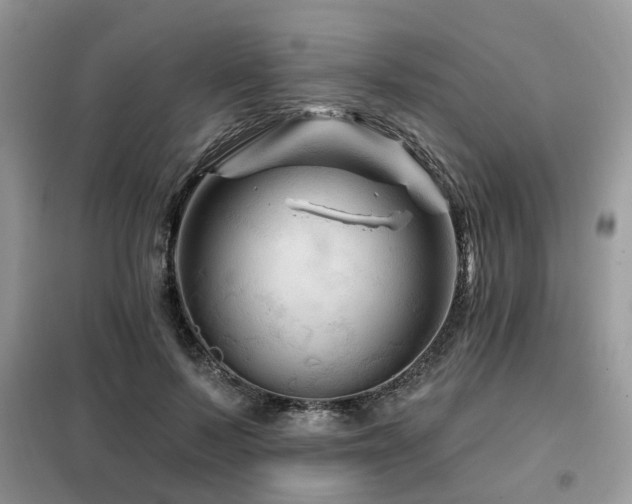 X0000099450695200805091506