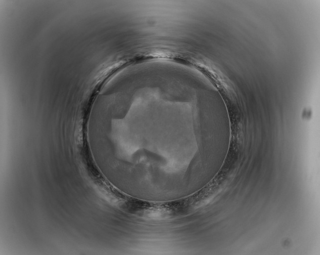 X0000099450696200805091506