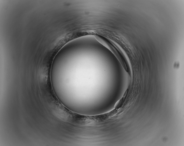 X0000099450697200805091506
