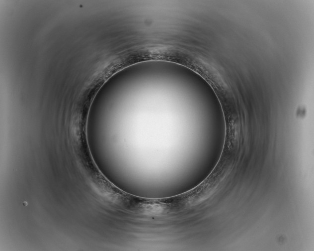 X0000099450698200805091506