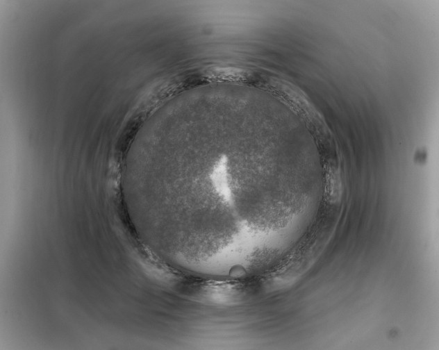 X0000099450701200805091506