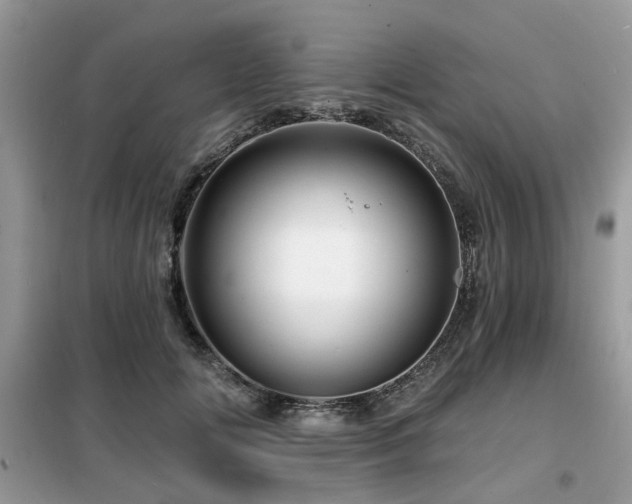 X0000099450702200805091506