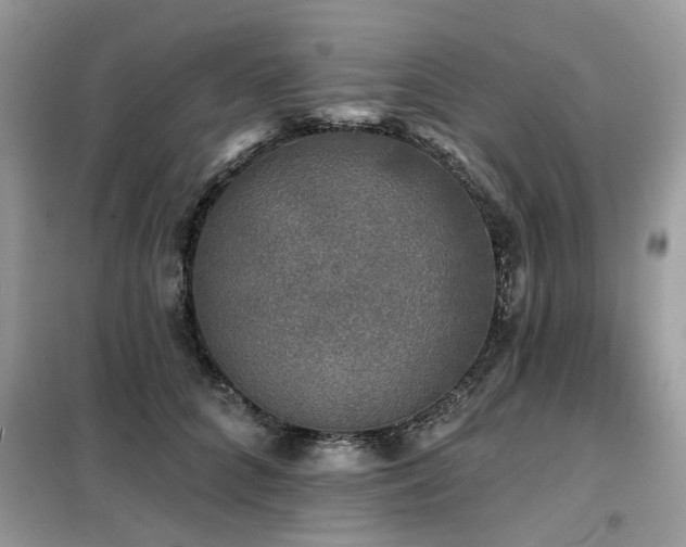 X0000099450704200805091506
