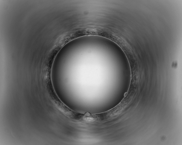 X0000099450706200805091506