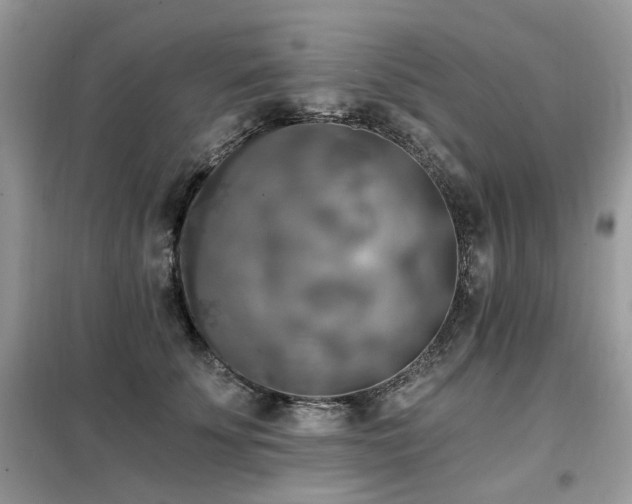 X0000099450707200805091506