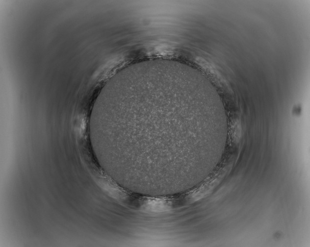 X0000099450709200805091506