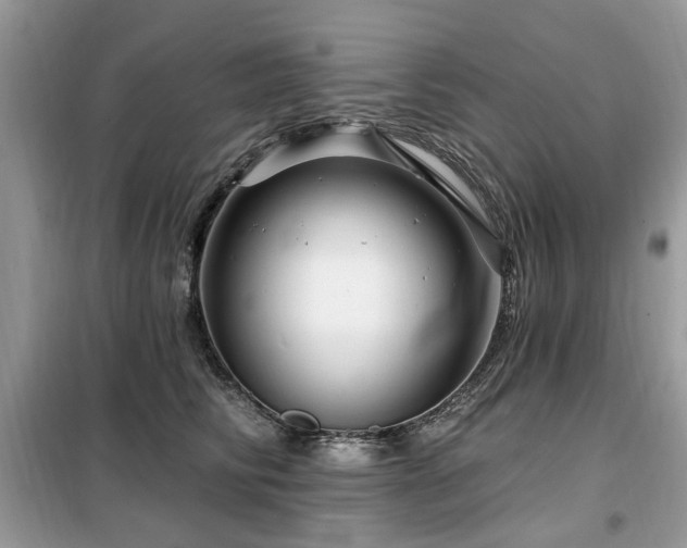 X0000099450710200805091506