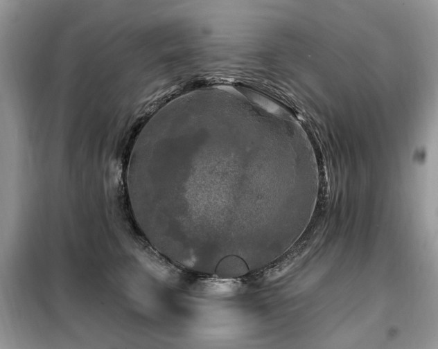 X0000099450711200805091506