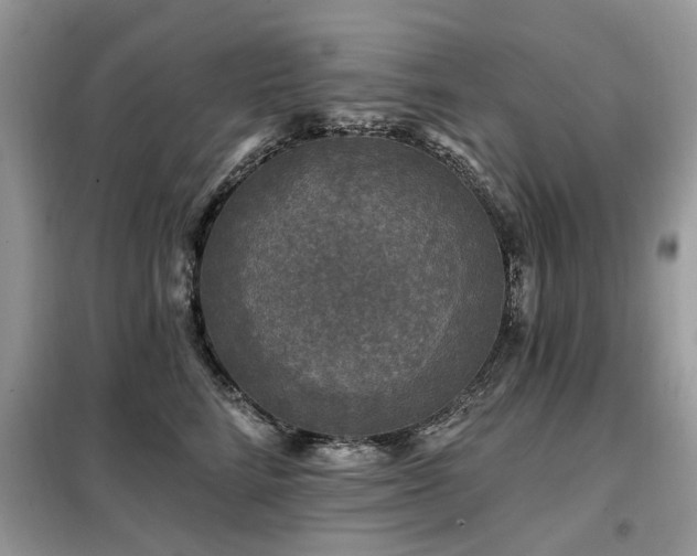 X0000099450712200805091506
