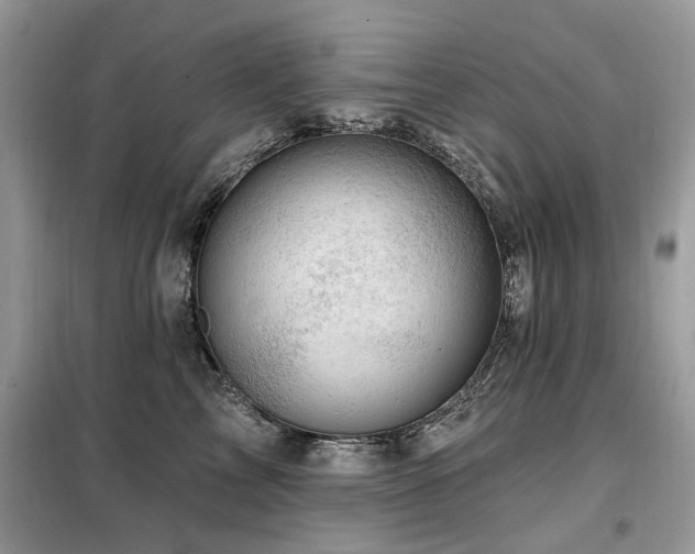 X0000099450713200805091506