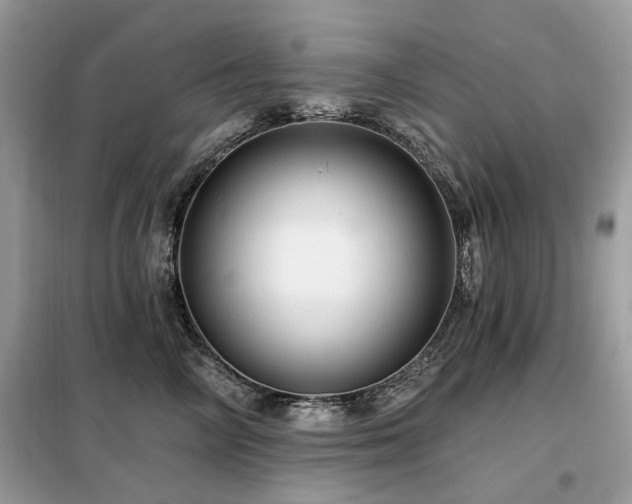 X0000099450714200805091506