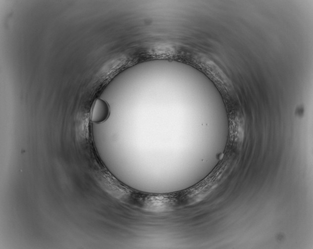 X0000099450717200805091506