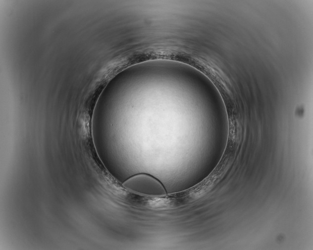 X0000099450718200805091506