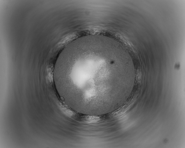 X0000099450719200805091506