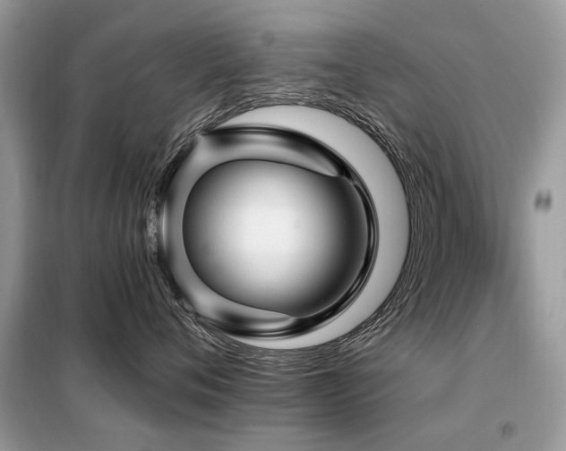 X0000099450720200805091505