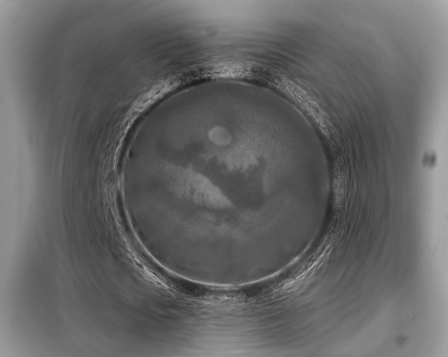 X0000099450721200805091505