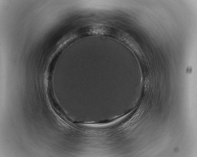 X0000099450722200805091505