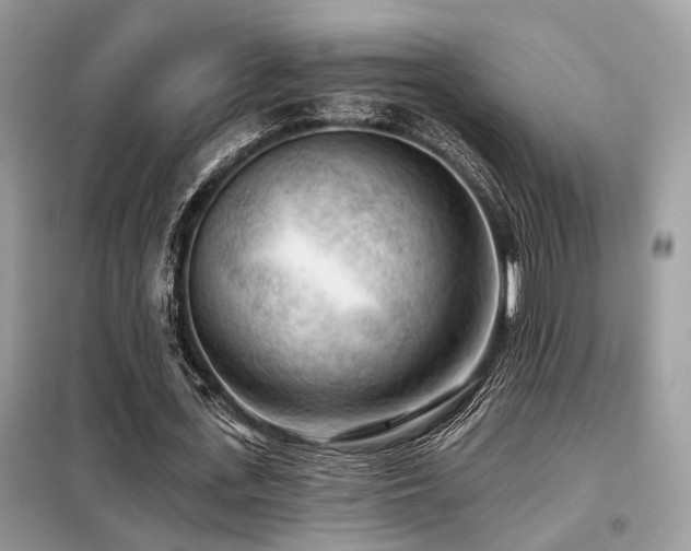 X0000099450723200805091505