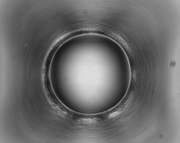 X0000099450724200805091505