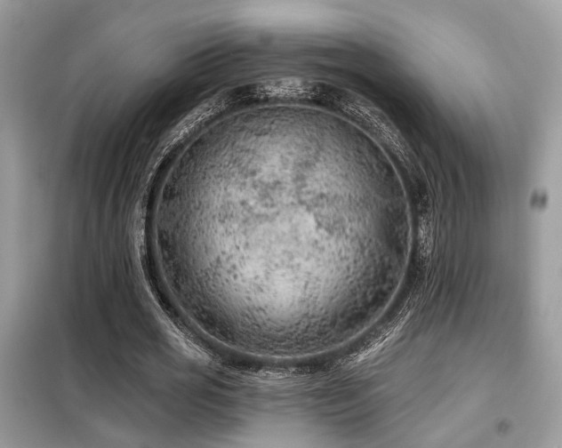 X0000099450725200805091505