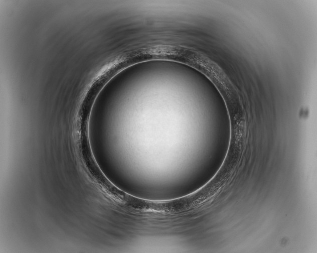 X0000099450727200805091505