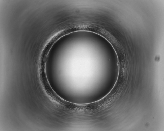 X0000099450728200805091505