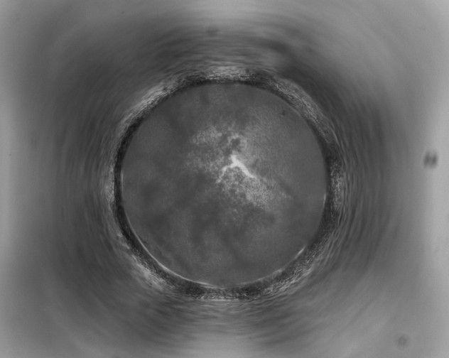 X0000099450729200805091505