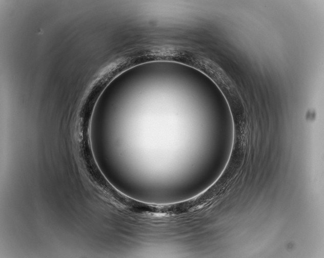 X0000099450731200805091505