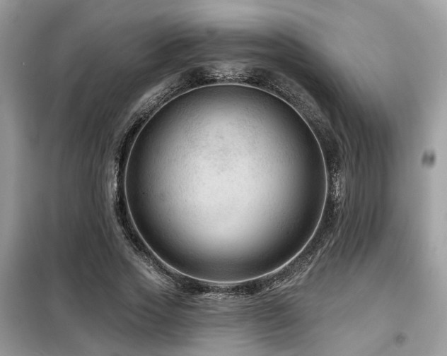 X0000099450733200805091505