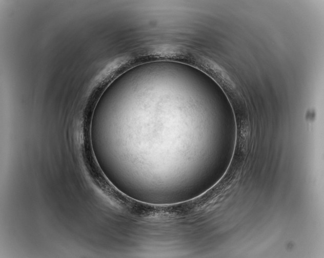 X0000099450734200805091505