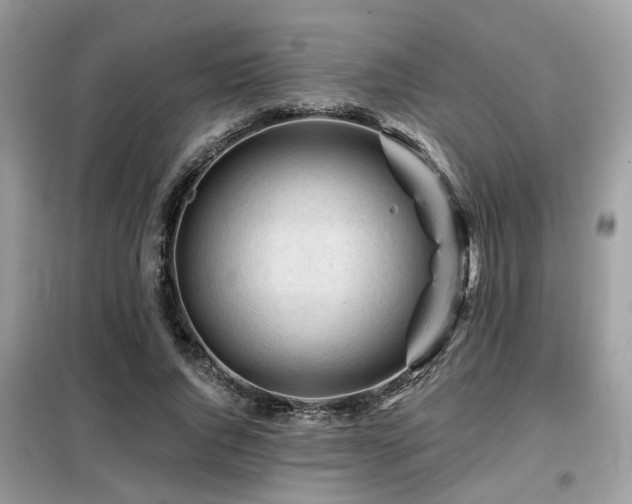 X0000099450736200805091505