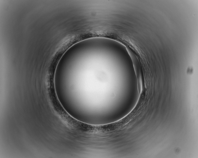 X0000099450738200805091505