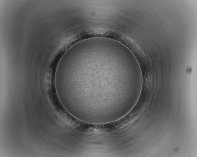 X0000099450739200805091505