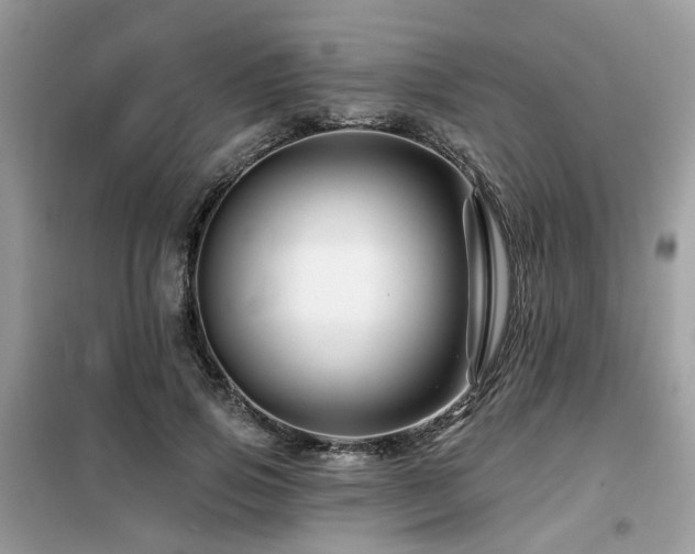 X0000099450741200805091505