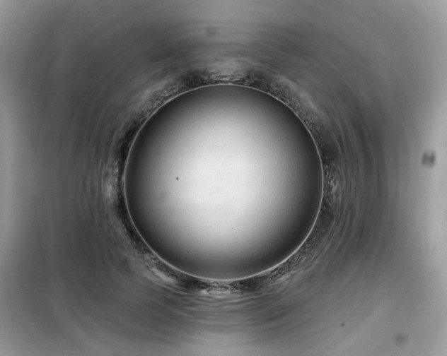 X0000099450745200805091505