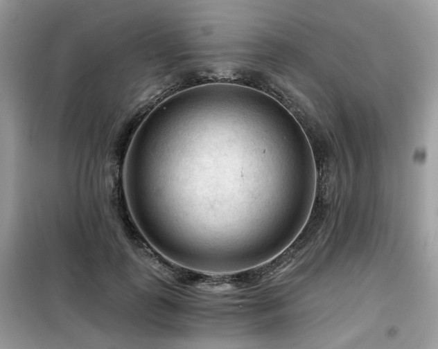 X0000099450747200805091505