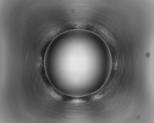 X0000099450748200805091505